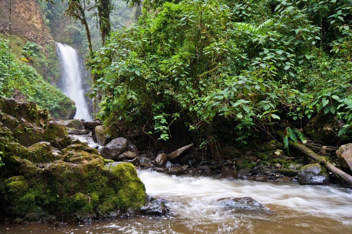 La Paz Waterfall Gardens