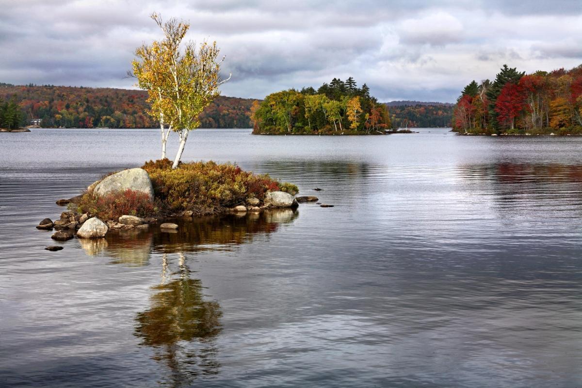 Tupper Lake Wild Center