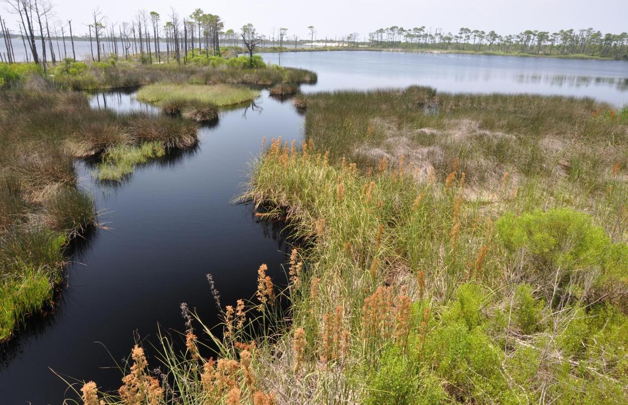 Bon Secour National Wildlife Refuge