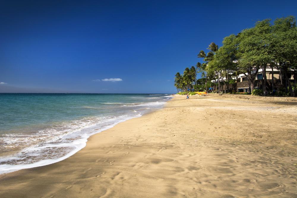 Hanakao'o Beach Park