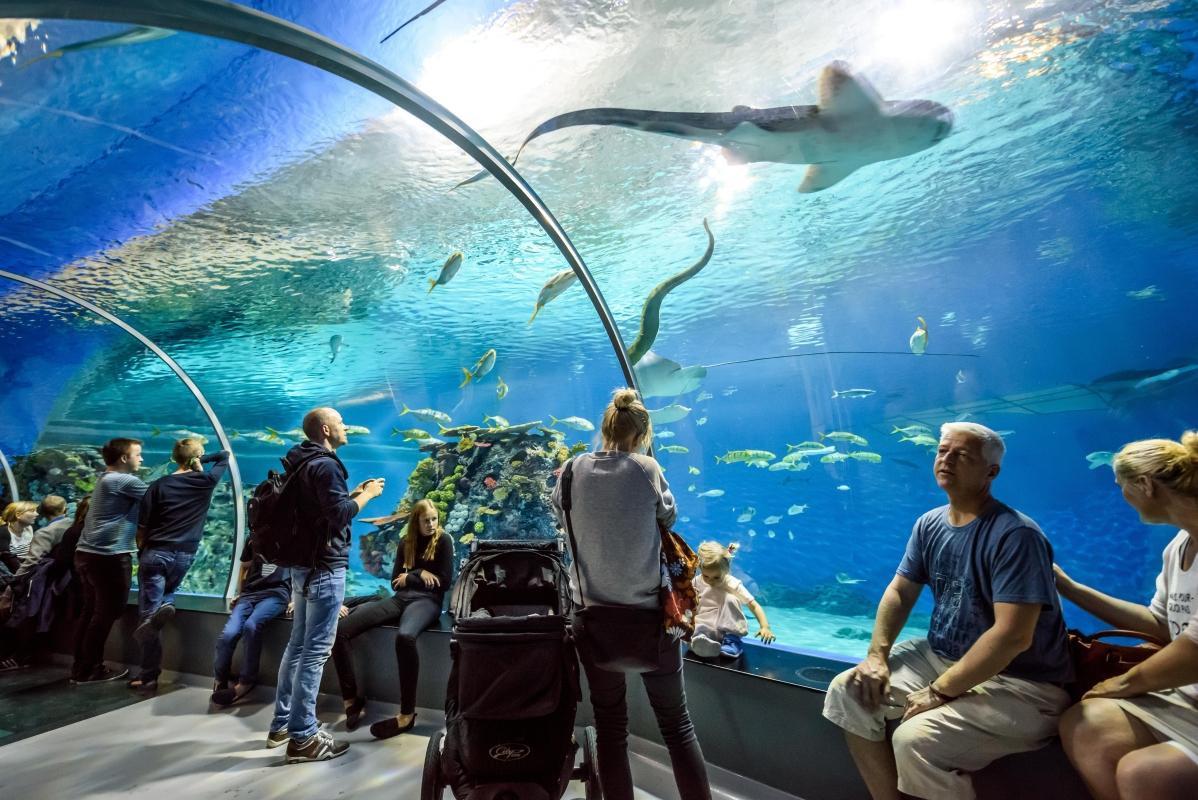 National Aquarium Denmark (Den Blaa Planet)