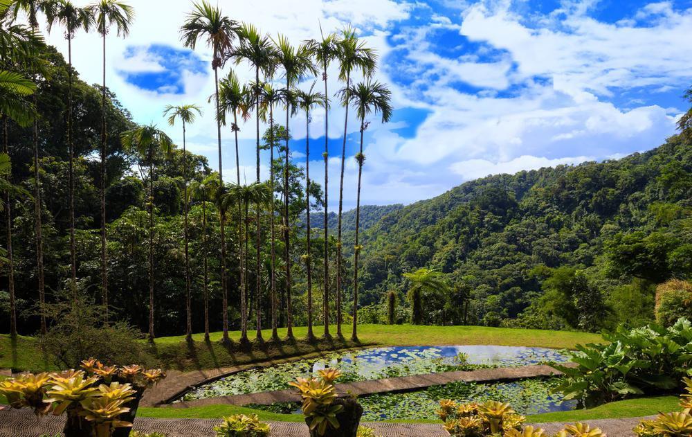 Balata Garden (Jardin de Balata)