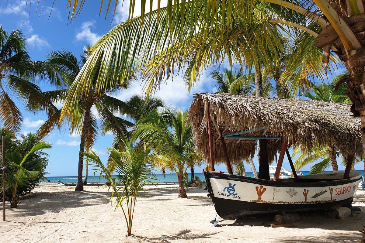 Saona Island (Isla Saona)