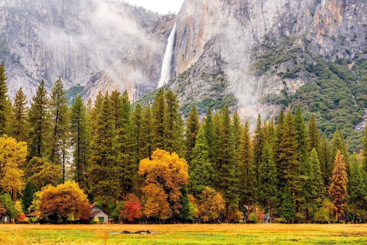 Yosemite National Park