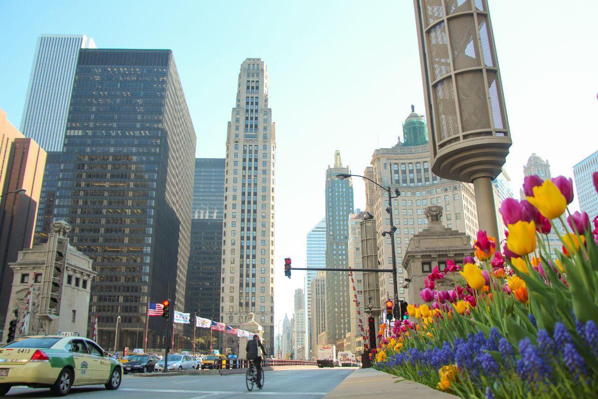 The Magnificent Mile