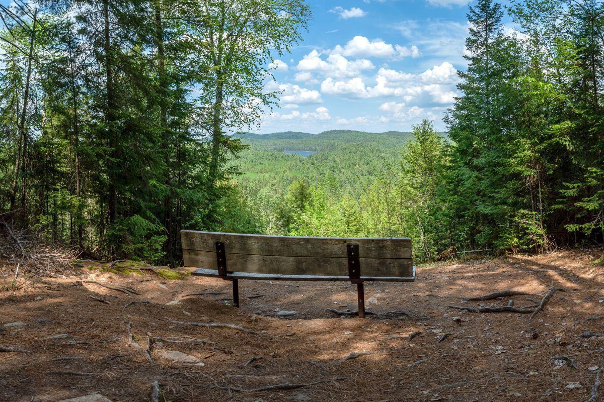 Algonquin Lookout Trail