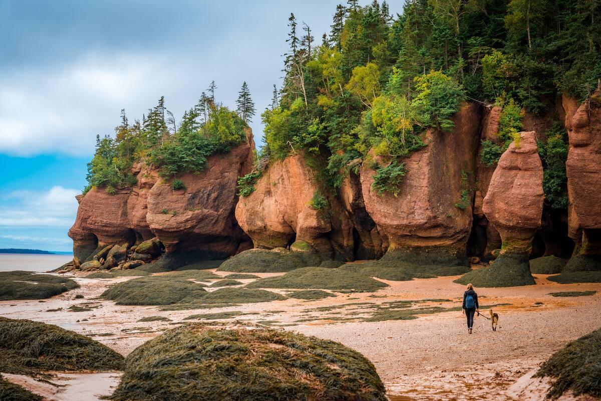 Hopewell Rocks