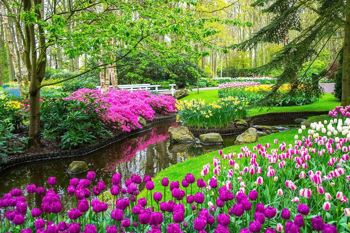 Keukenhof Gardens