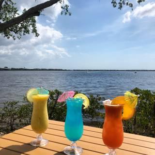 Whiskey Joe's Manatee River