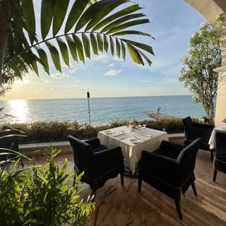 Palm Terrace Restaurant