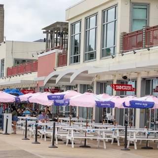 Swim Crush - Asbury Park