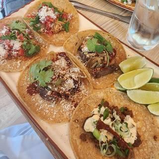 Taco Dia - Newtown