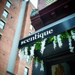 Scentique - Providence