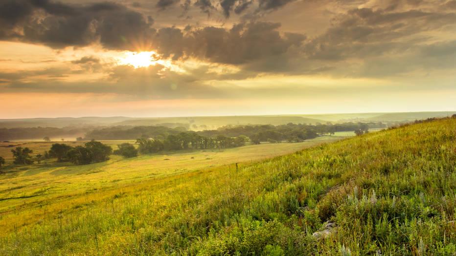 iStockphoto.com/ricardoreitmeyer