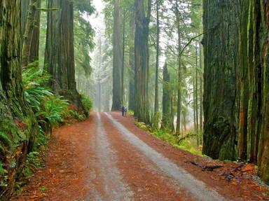 Smith River Scenic Byway