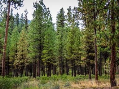 Pend Oreille Scenic Byway