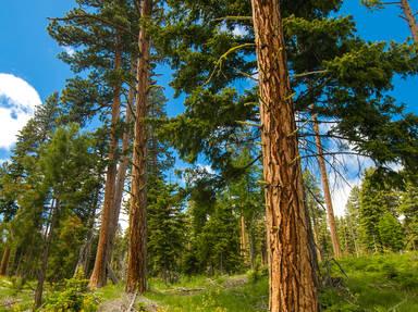 Elgin-Paradise Scenic Drive