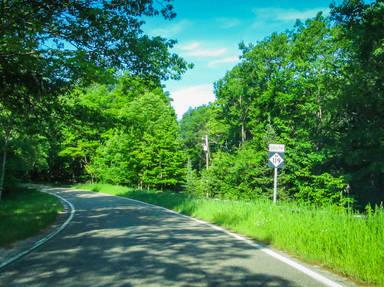 Tunnel of Trees Scenic Byway