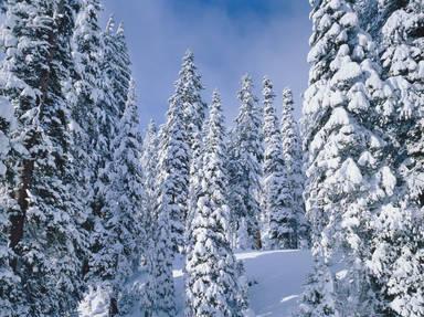 Crater Lake National Park