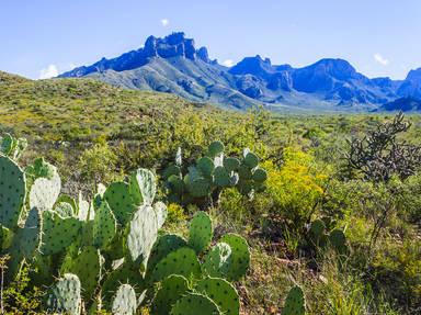 Big Bend National Park