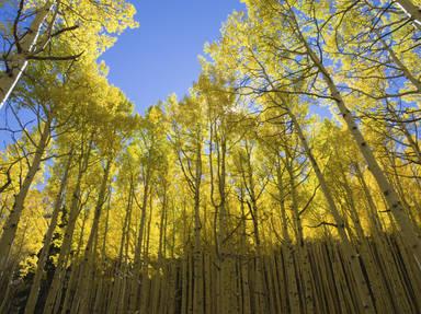 Santa Fe Scenic Byway