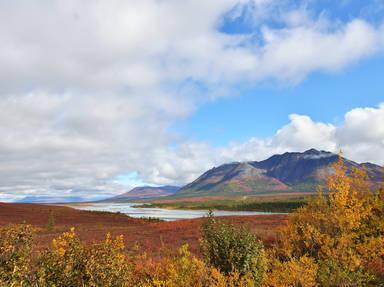 Denali Scenic Highway