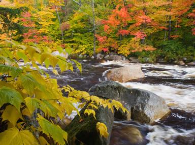 White Mountain Scenic Highway