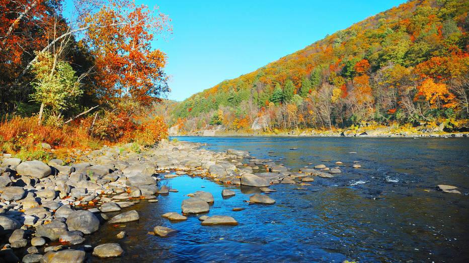 Songquan Deng/iStockphoto.com