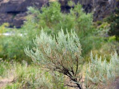 Upper Colorado River Scenic Byway