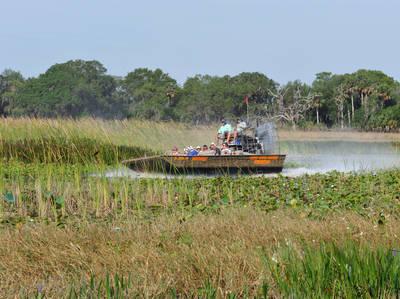 Courtesy of Boggy Creek Airboat Rides
