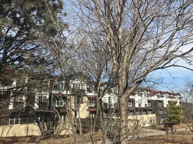 Lied Lodge at Arbor Day Farm