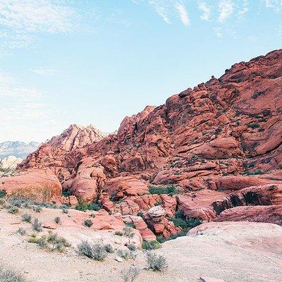 Red Rock Canyon Hiking Tour with Transport from Las Vegas