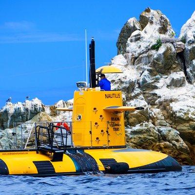 45 Minute Semi-Submarine Tour of Catalina Island From Avalon
