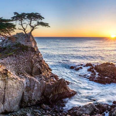 Monterey, Carmel and 17-Mile Drive: Full Day Tour from SF