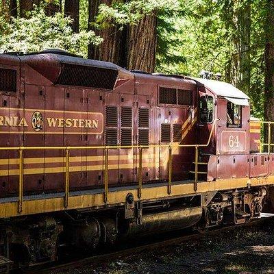 Skunk Train: Wolf Tree Turn from Willits