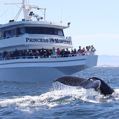 Monterey Whale Watching Tour