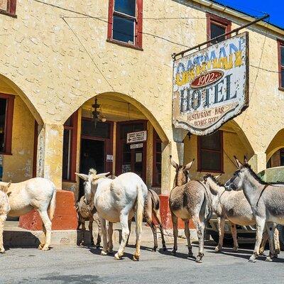 Oatman Mining Camp, Burros, Museums & Scenic RT66 Tour Small Grp 